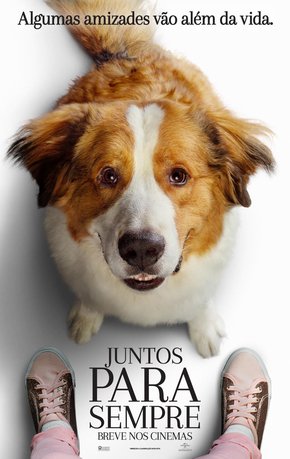 Juntos Para Sempre (“A Dog’s Journey”)